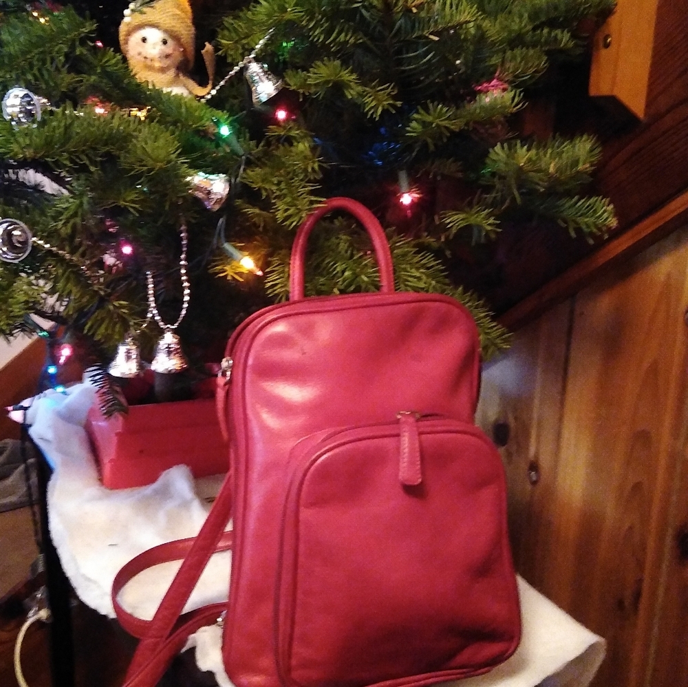 Red Leather Backpack - image 1